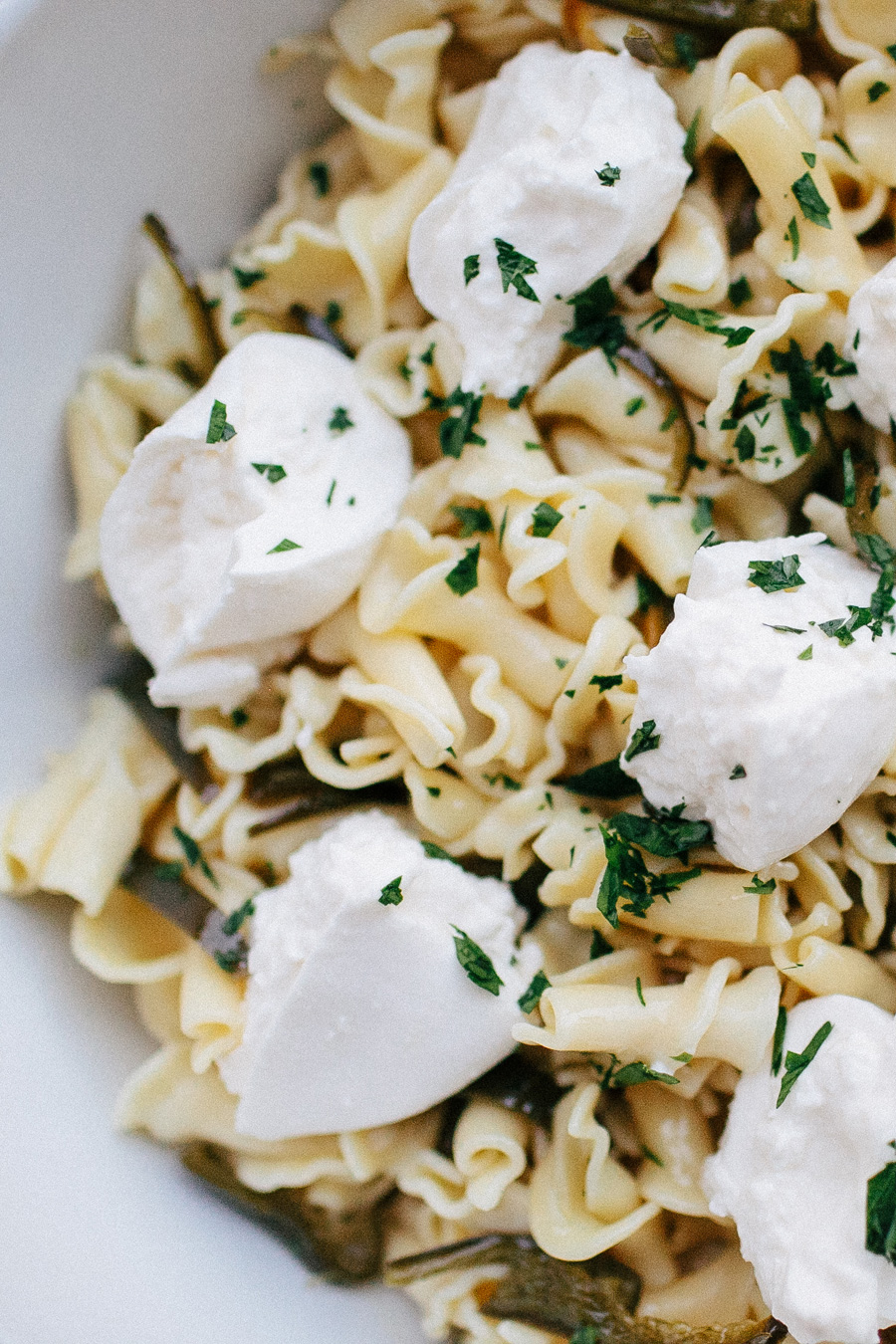 campanelle with burrata cheese, lemon, and garlic // a thousand threads